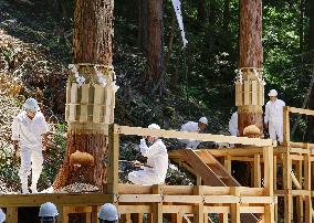 Tree-felling rite in central Japan