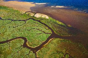 Illustration - Aerial View of France