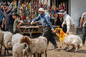 Animal Market - Iraq