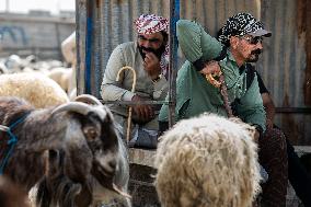Animal Market - Iraq