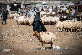 Animal Market - Iraq