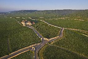 Illustration - Aerial View of France