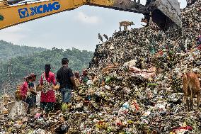 Guwahati Storks at Landfill - India