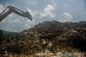 Guwahati Storks at Landfill - India