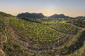 Illustration - Aerial View of France