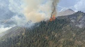 Canada Faces Early and Intense Wildfire Season