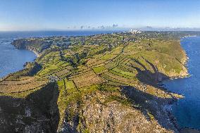 Illustration - Aerial View of France