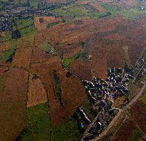 Illustration - Aerial View of France