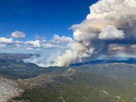 Canada Faces Early and Intense Wildfire Season