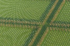 Illustration - Aerial View of France
