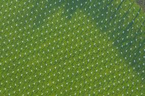 Illustration - Aerial View of France