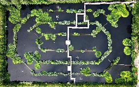 Sewage Treatment Plant