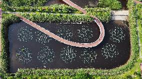Sewage Treatment Plant
