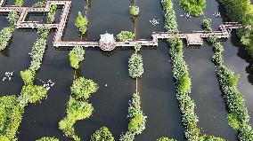 Sewage Treatment Plant