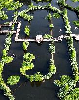 Sewage Treatment Plant