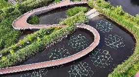 Sewage Treatment Plant