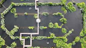 Sewage Treatment Plant