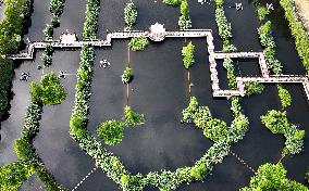 Sewage Treatment Plant