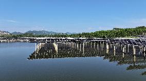 Wind and Solar Power Surpass Thermal Power in China