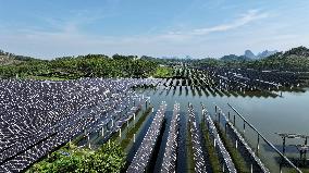Wind and Solar Power Surpass Thermal Power in China