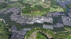 Wind and Solar Power Surpass Thermal Power in China