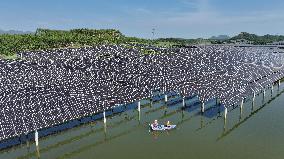 Wind and Solar Power Surpass Thermal Power in China