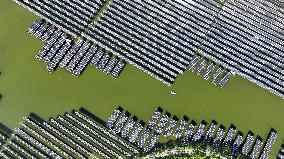 Wind and Solar Power Surpass Thermal Power in China