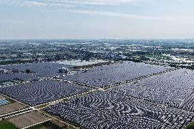 Wind and Solar Power Surpass Thermal Power in China