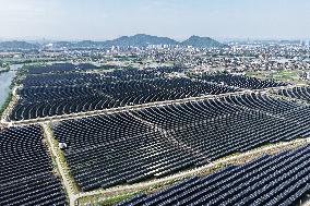 Wind and Solar Power Surpass Thermal Power in China