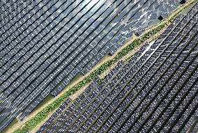 Wind and Solar Power Surpass Thermal Power in China