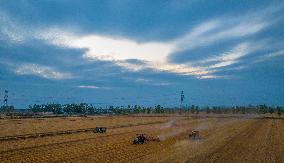 Wheat Harvest in Suqian