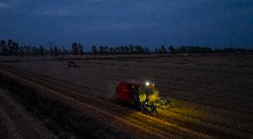Wheat Harvest in Suqian