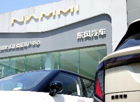 Dongfeng Auto