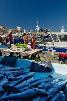 Illustration - Marseille