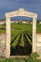 Illustration - Vin Bourgogne