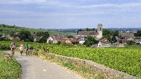 Illustration - Vin Bourgogne