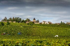 Illustration - Vin Bourgogne