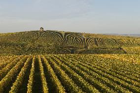 Illustration - Vin Champagne