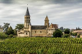 Illustration - Vin Bourgogne