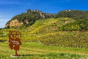 Illustration - Vin Bourgogne