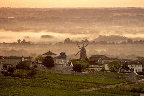 Illustration - Vin Bourgogne