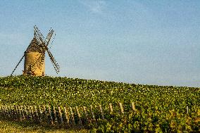 Illustration - Vin Bourgogne