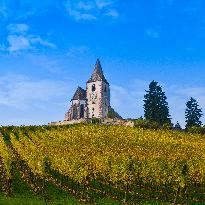 Illustration - Vin Alsace