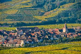 Illustration - Vin Alsace
