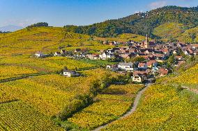 Illustration - Vin Alsace