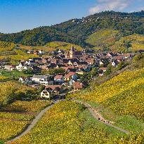 Illustration - Vin Alsace
