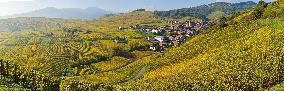 Illustration - Vin Alsace
