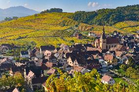 Illustration - Vin Alsace