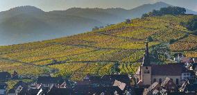 Illustration - Vin Alsace