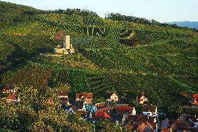 Illustration - Vin Alsace